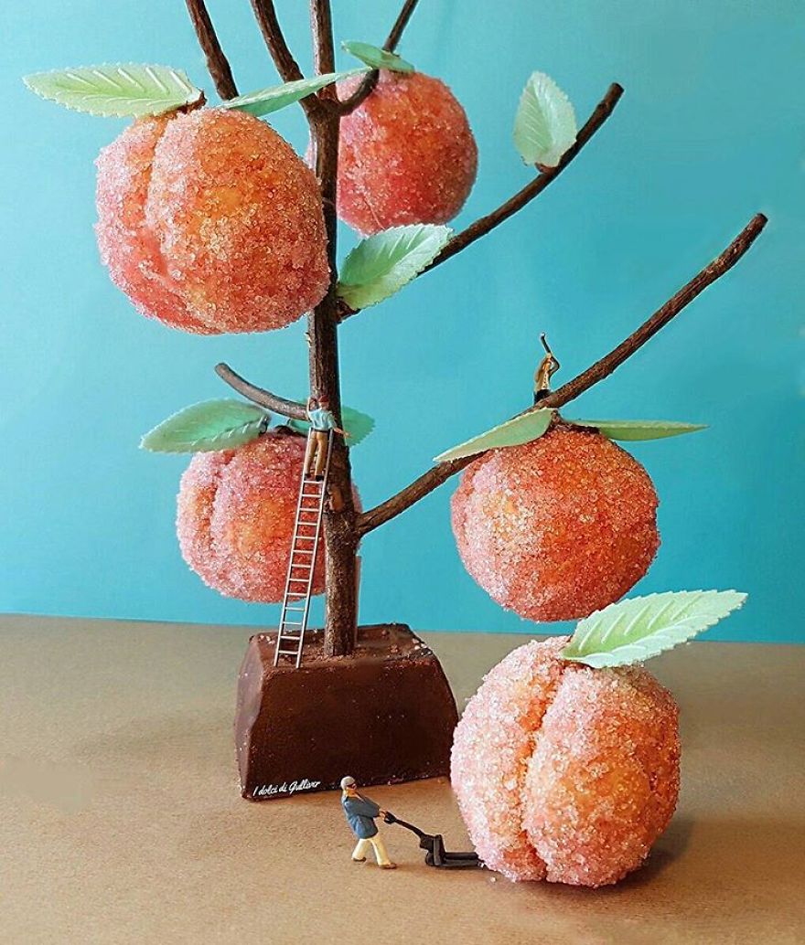Персиковое дерево