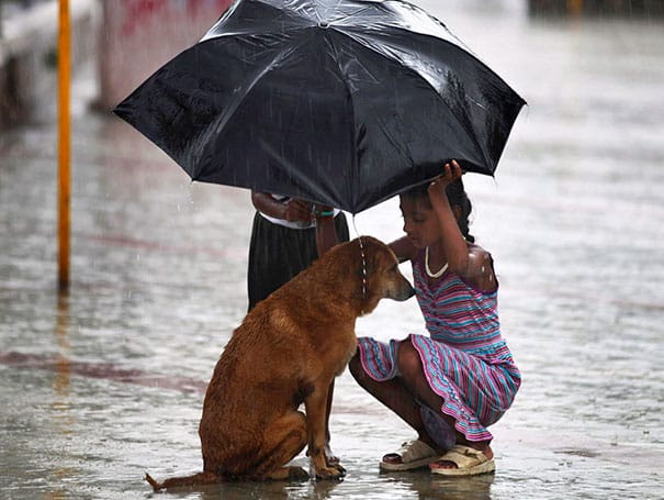Девочка прячет под зонтом собаку