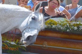 Лошадь на похоронах ковбоя