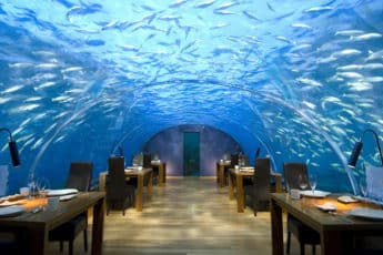 Подводный ресторан Ithaa, Атолл Алифа Даала, Мальдивы