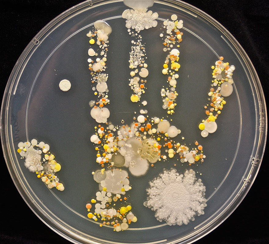 Бактерии на руках ребенка