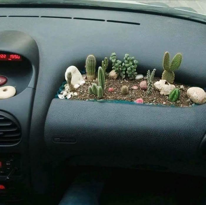 Огород в машине