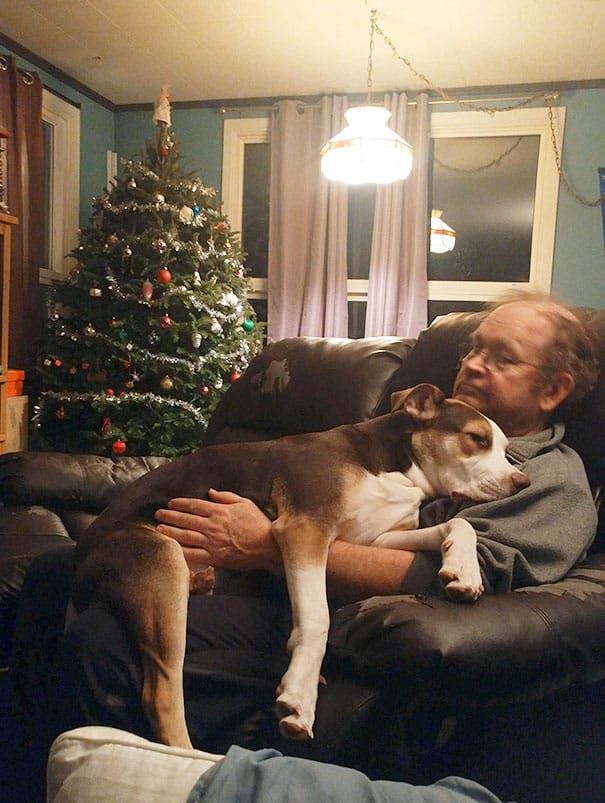 Суровый отец и его любимая собака