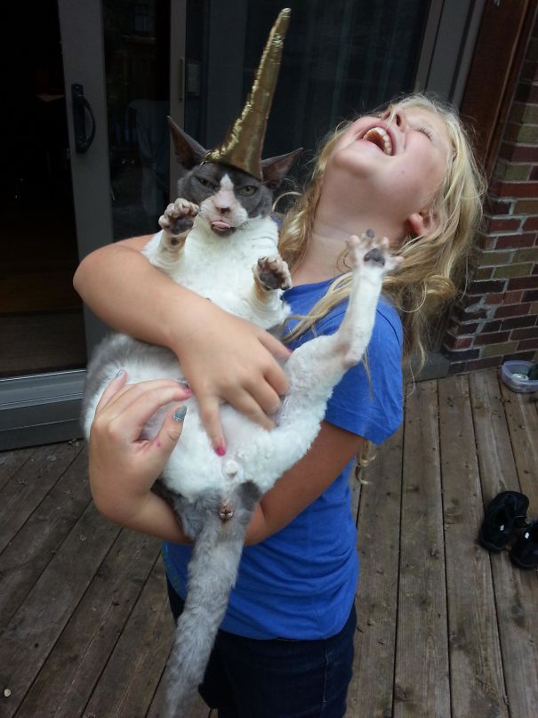 Ребенок с кошкой на руках