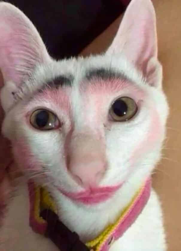 Кошачий макияж