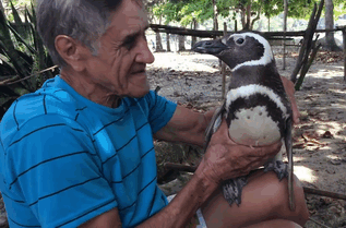 Человек и пингвин