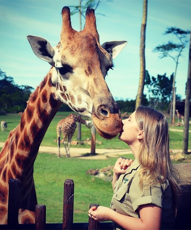Девушка с жирафом