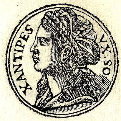 Портрет Ксантиппы из сборника биографий 1553 года