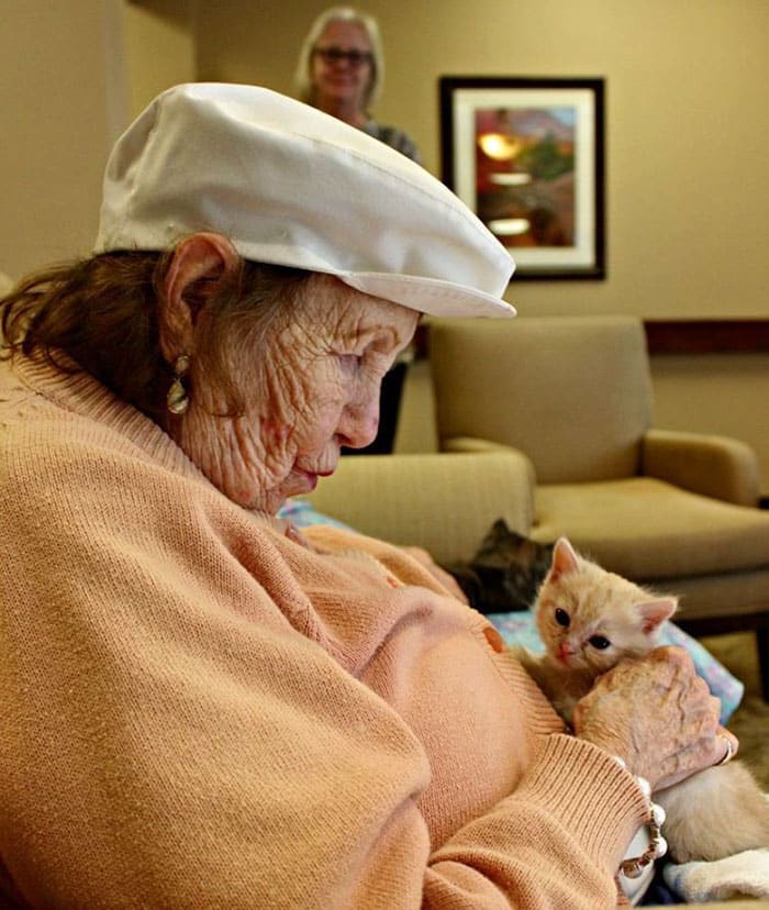 Кошки и пожилые люди