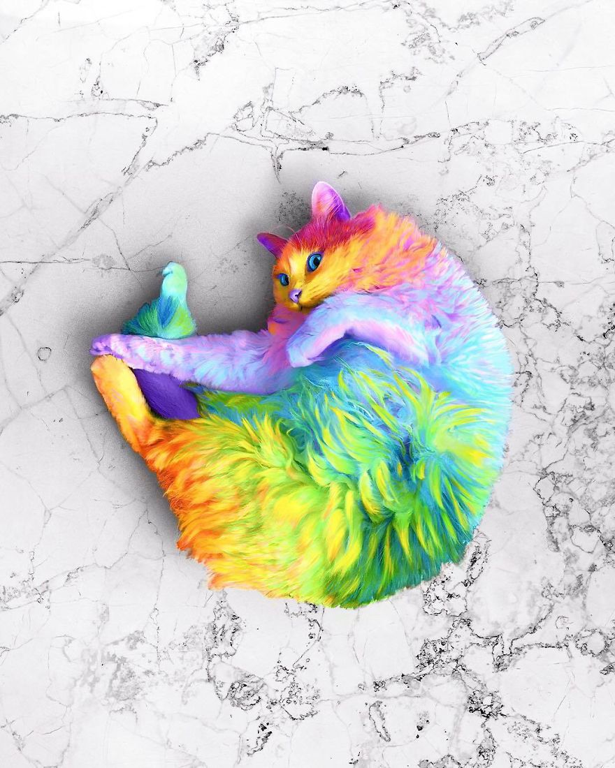 cat_rainbow