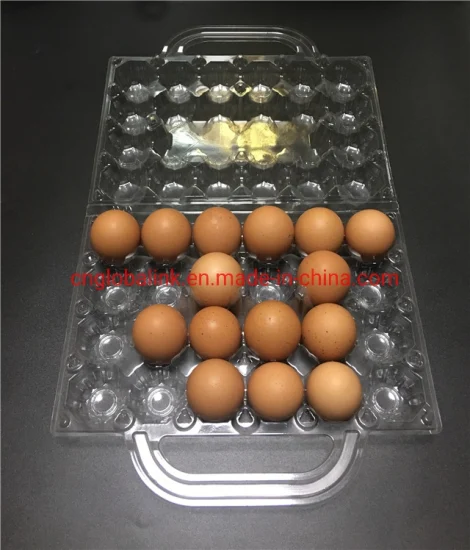 eggs_packing