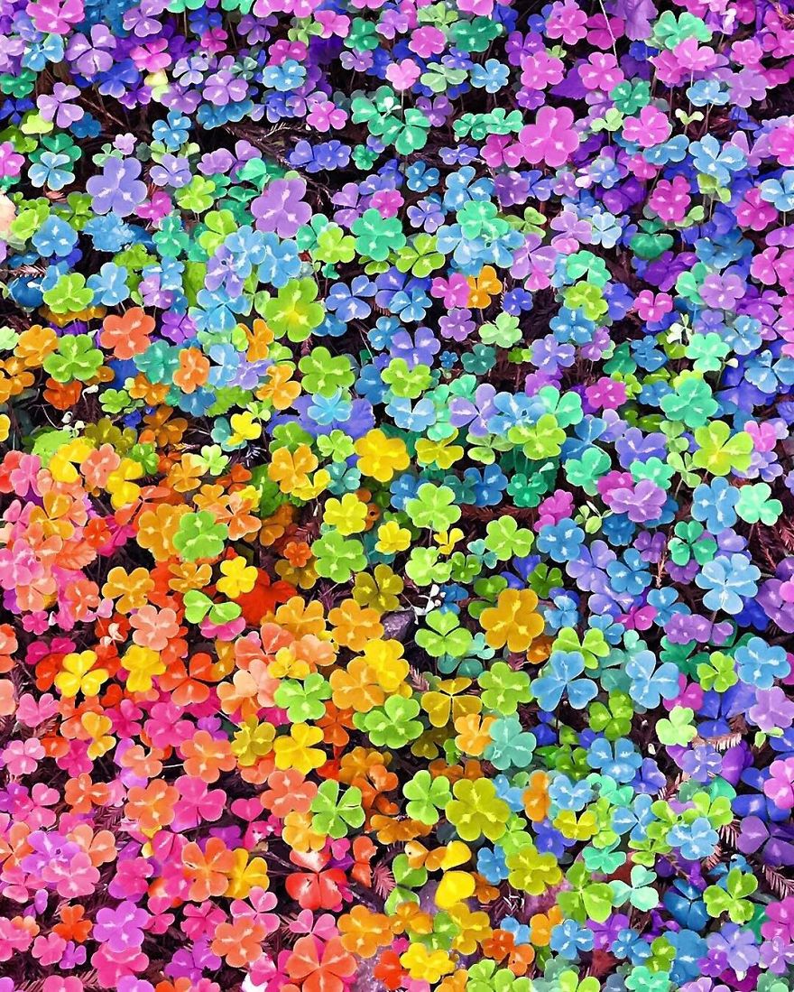 flowers_rainbows