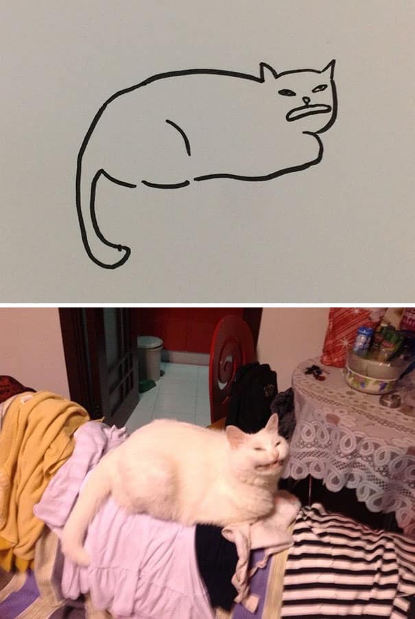 funny_draw_cats