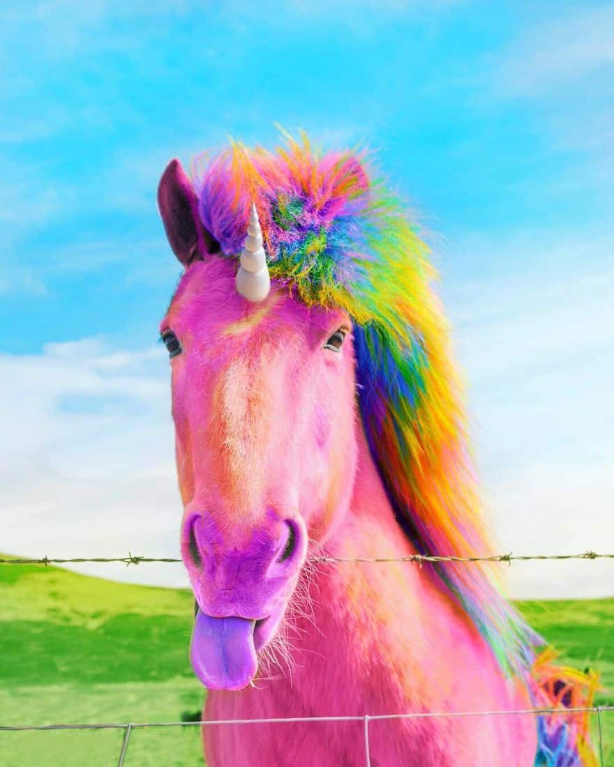 horse_rainbow
