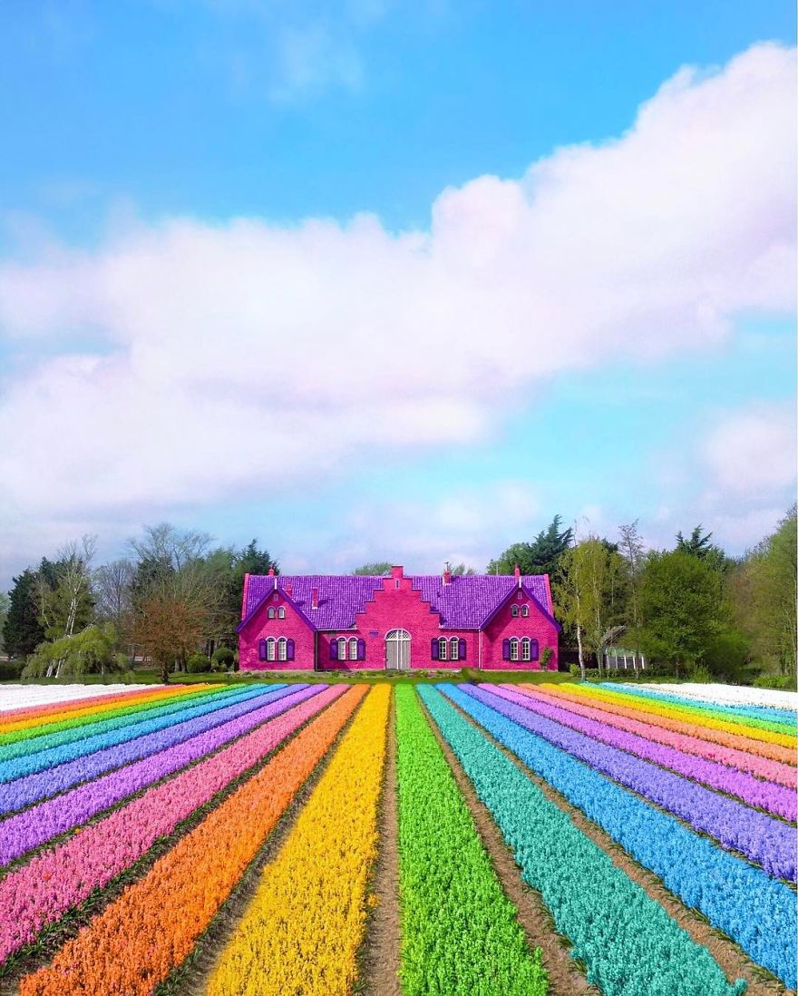 house_rainbows